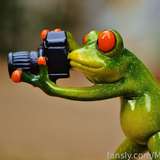 321628654348017664 from fansly